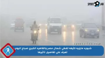 شبورة مائية كثيفة تغطي شمال مصر والقاهرة الكبرى صباح اليوم.. تعرف على تفاصيل تأثيرها